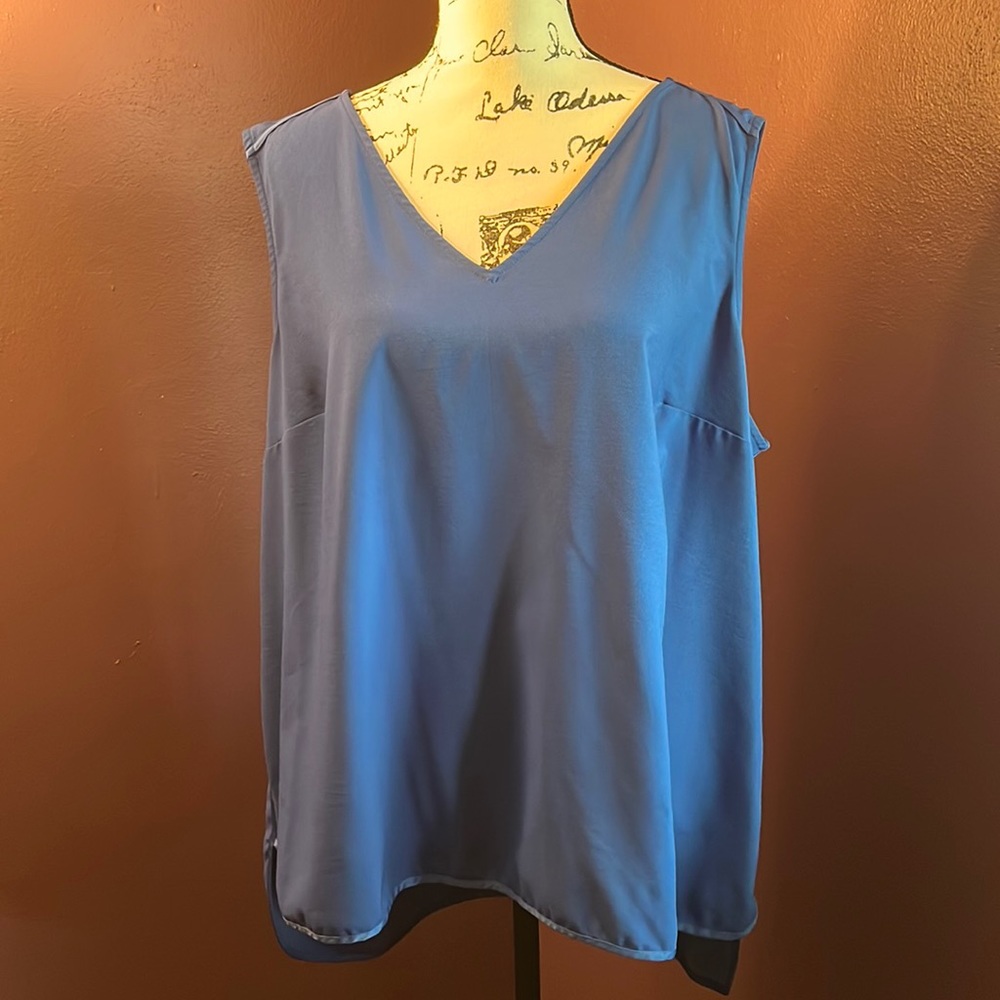 Beautiful royal blue shell